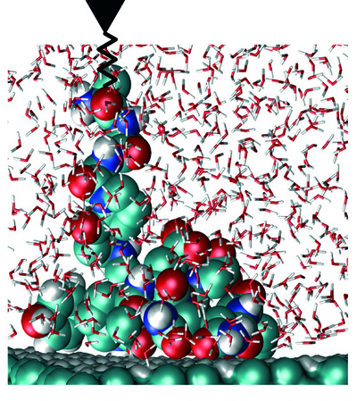 Spinnenseide klein