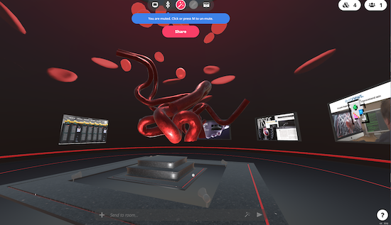 circle of willis_hubs